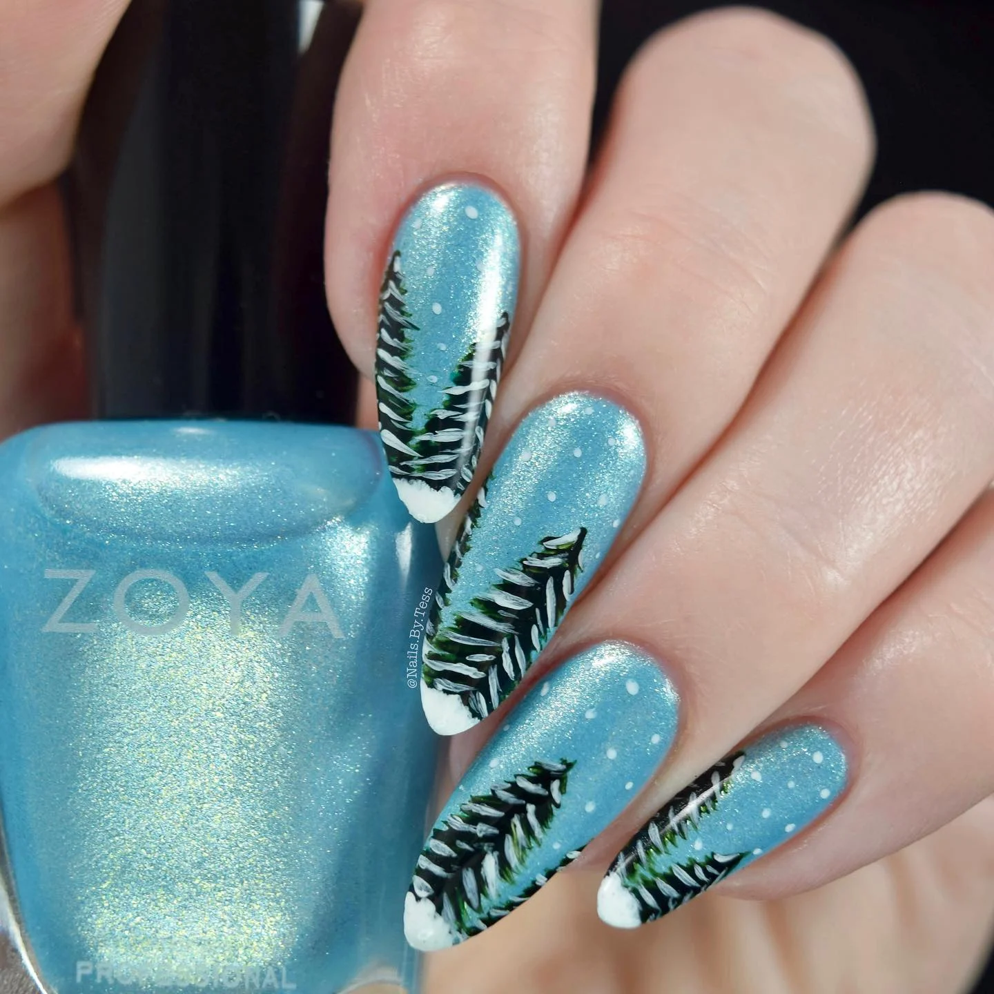 Winter Acrylic Nails